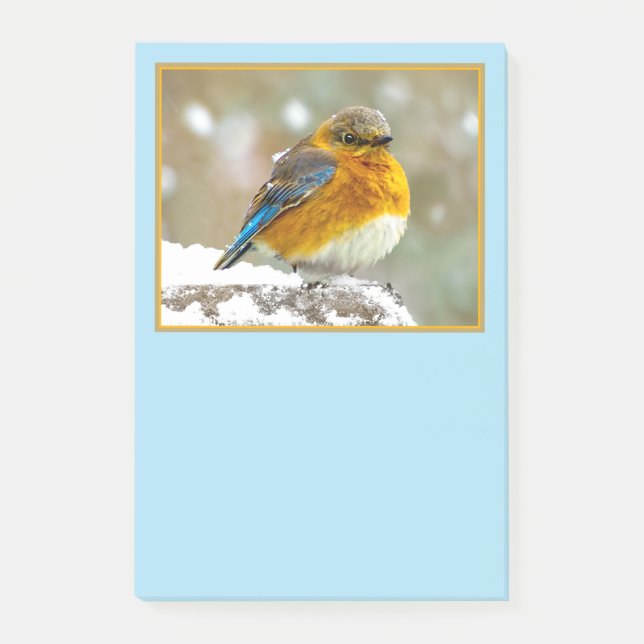 Eastern Bluebird in Snow - Original Photograph Post-it Notes (Front)