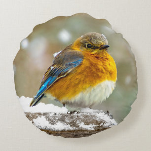Eastern Bluebird in Snow - Original Photograph Round Pillow