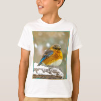 Eastern Bluebird in Snow - Original Photograph