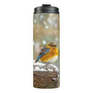 Eastern Bluebird in Snow - Original Photograph Thermal Tumbler