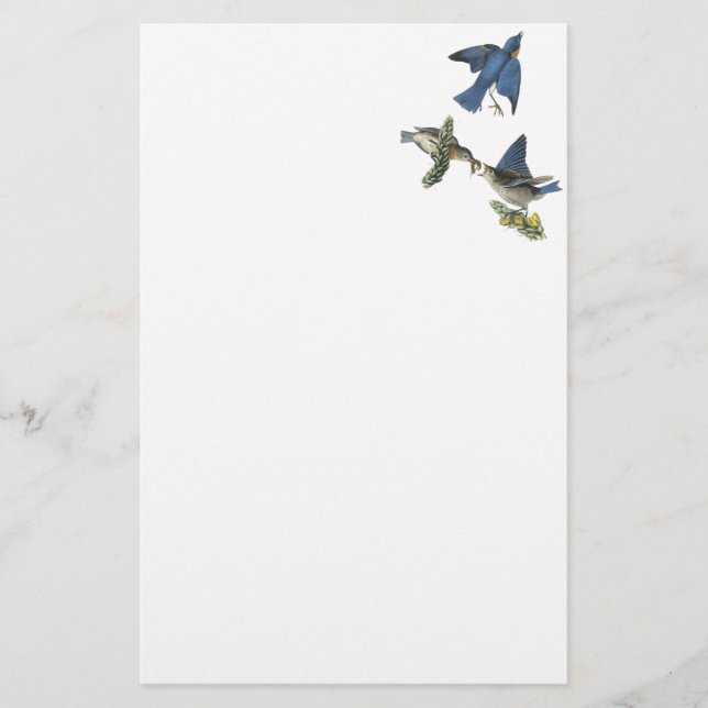 Eastern Bluebird, John Audubon Stationery (Front)