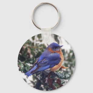 Eastern Bluebird Keychain