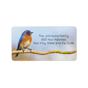 Eastern Bluebird Label