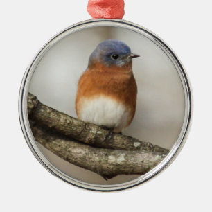 Eastern Bluebird Metal Ornament
