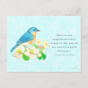 Eastern Bluebird- My Amazing Good Fortune Postcard