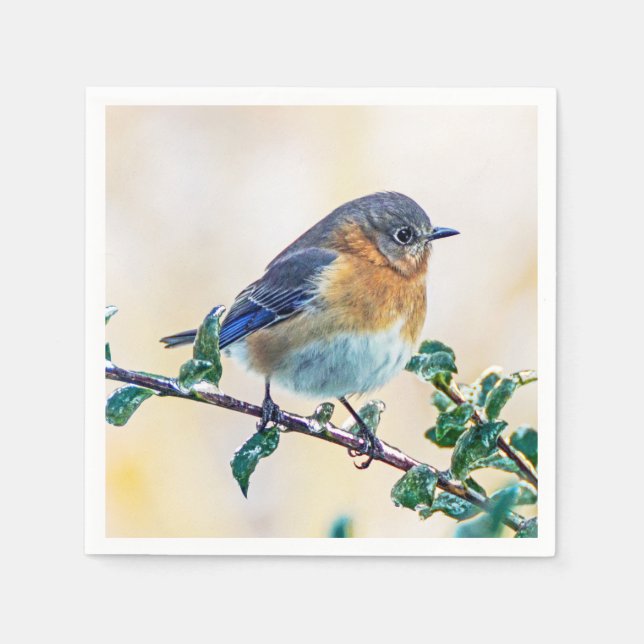 Eastern Bluebird on Ice Covered Limb Paper Napkin (Front)