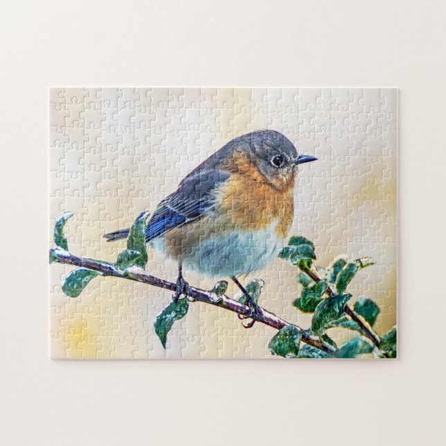 Eastern Bluebird on Ice Covered Limb Puzzle (Horizontal)