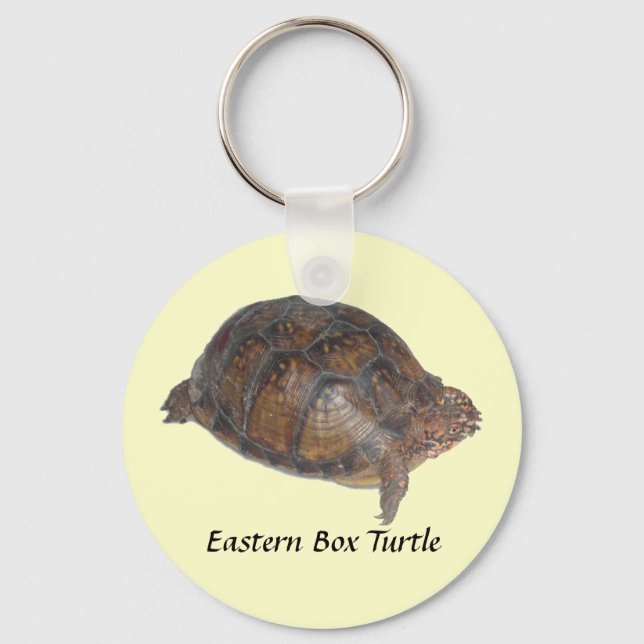 Eastern Box Turtle Keychain (Front)