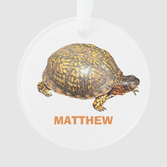 Eastern Box Turtle Photo Personalized Ornament (Front)