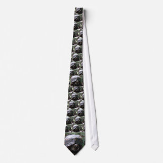 eastern box turtle tie