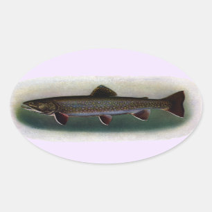 Eastern Brook Trout Painting Oval Sticker
