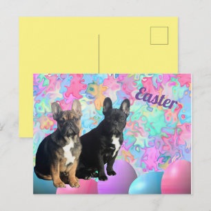 Eastern card French Bulldog postcard