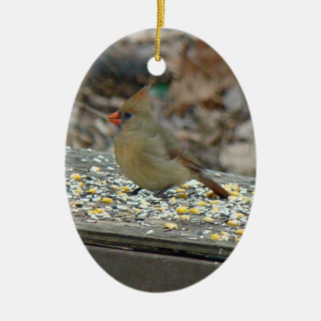 Eastern Cardinal Songbird Christmas Ornament (Front)