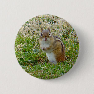 Eastern Chipmunk 2 Inch Round Button