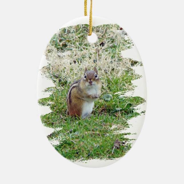 Eastern Chipmunk Ceramic Ornament (Back)