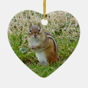Eastern Chipmunk Ceramic Ornament