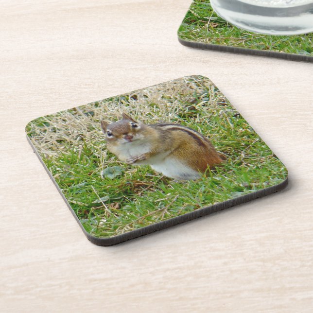 Eastern Chipmunk Coaster (Left Side)