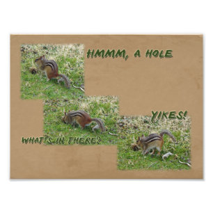 Eastern Chipmunk Discovers a Hole Photo Print