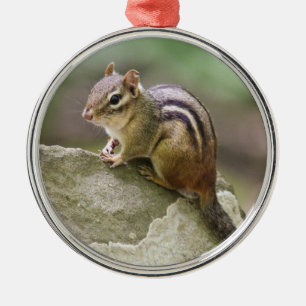 Eastern Chipmunk Metal Ornament