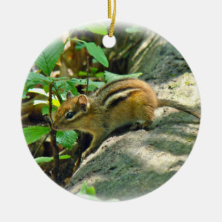 Eastern Chipmunk on Log Ceramic Ornament