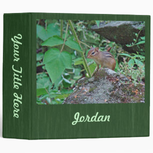 Eastern Chipmunk on Rock Binder