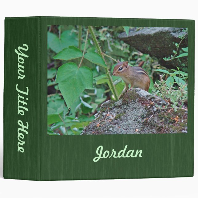 Eastern Chipmunk on Rock Binder (Front/Spine)