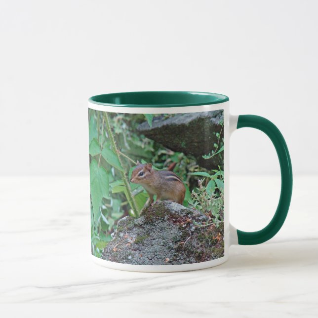 Eastern Chipmunk on Rock Mug (Right)