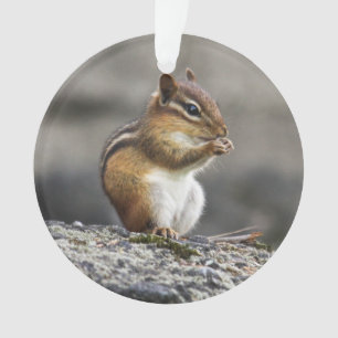 Eastern Chipmunk Ornament
