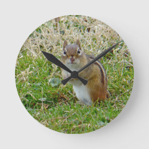 Eastern Chipmunk Round Clock