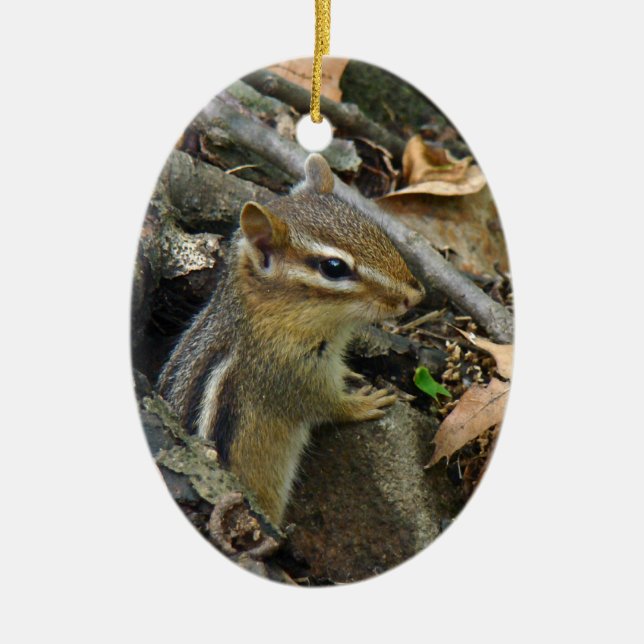 Eastern Chipmunk - Tamias striatus Ceramic Ornament (Front)