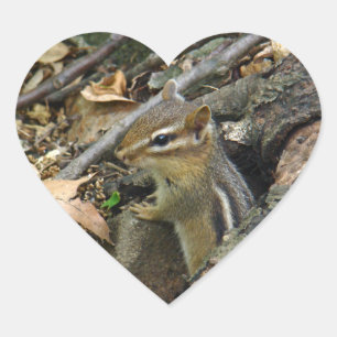 Eastern Chipmunk - Tamias striatus Heart Sticker
