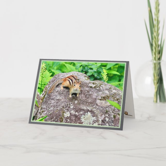 Eastern Chipmunk: Walden Pond Holiday Card (Front)