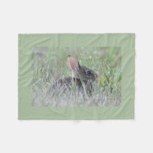 Eastern cottontail baby bunny fleece blanket