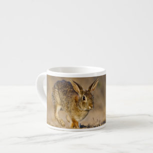 Eastern cottontail rabbit hopping espresso cup
