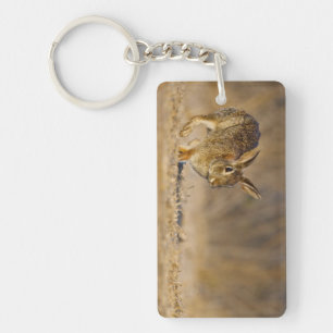 Eastern cottontail rabbit hopping keychain