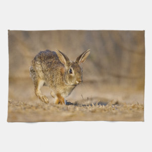 Eastern cottontail rabbit hopping kitchen towel
