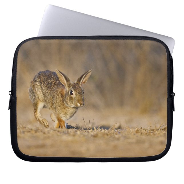 Eastern cottontail rabbit hopping laptop sleeve (Front)