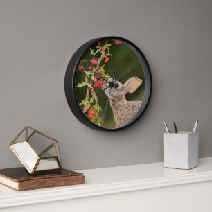 Eastern Cottontail   South Texas Clock