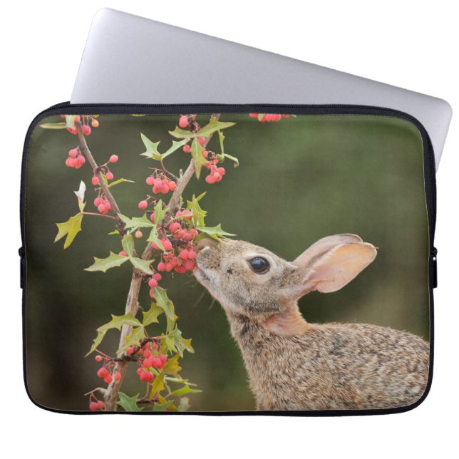 Eastern Cottontail | South Texas Laptop Sleeve (Front)