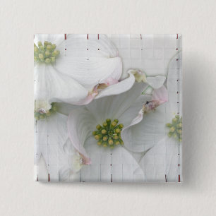 Eastern Dogwood Blossoms - Cornus florida 2 Inch Square Button