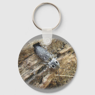 Eastern Eyed Elater Click Beetle - Alaus oculatus Keychain