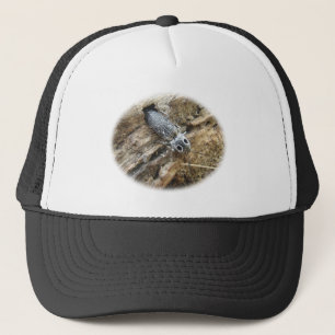 Eastern Eyed Elater Click Beetle - Alaus oculatus Trucker Hat