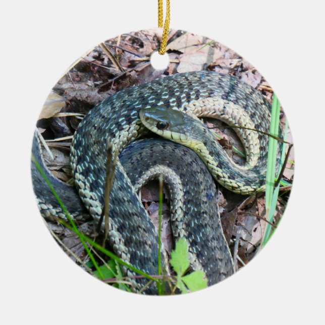 Eastern Garter Snake at Cape Cod Ceramic Ornament (Front)