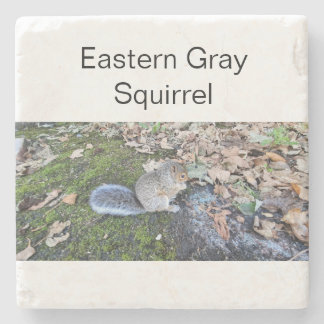 Eastern Gray Squirrel Stone Coaster