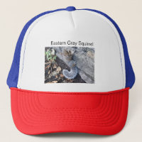 Eastern Gray Squirrel