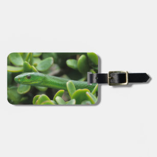 Eastern Green Mamba (Dendroaspis Angusticeps) Luggage Tag