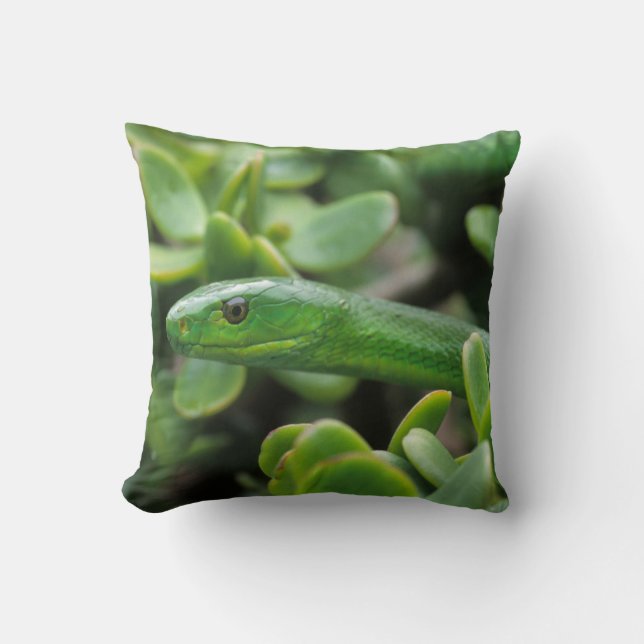 Eastern Green Mamba (Dendroaspis Angusticeps) Throw Pillow (Front)