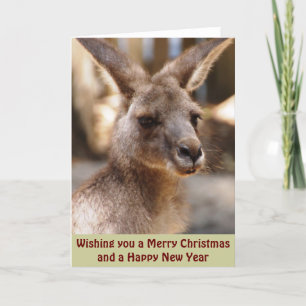 Eastern Grey Kangaroo Xmas Card
