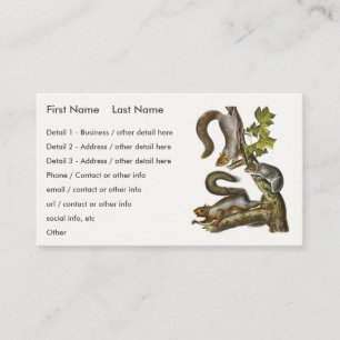 Eastern Grey Squirrel (Migratory Squirrel) Audubon Business Card