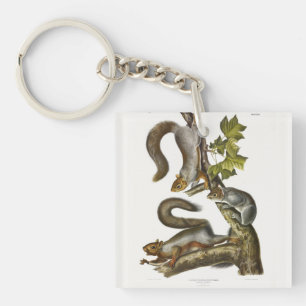 Eastern Grey Squirrel (Migratory Squirrel) Audubon Keychain
